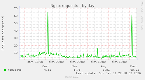 Nginx requests